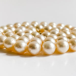 BARBARA: Saltwater Cultured Pearl Necklace